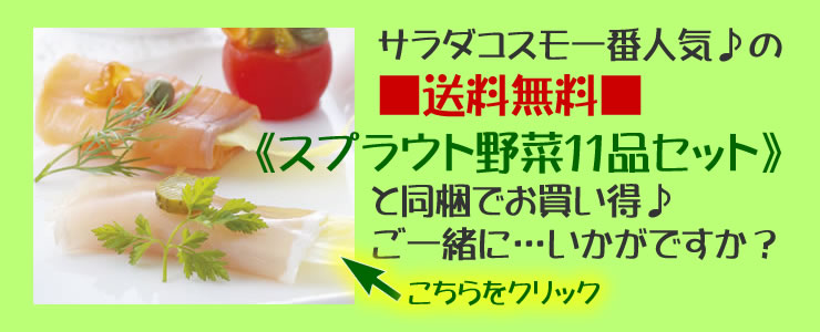 yzT_RẌSXvEgZbgƈꏏɂǂII