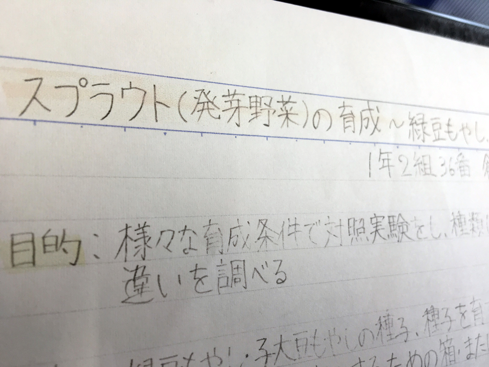 スプラウト 発芽野菜 の育成 緑豆もやし 子大豆もやし ちこり村 公式blog