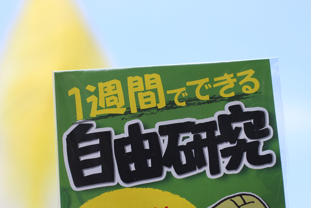 発芽野菜を育てよう 夏休みの自由研究 ちこり村 公式blog