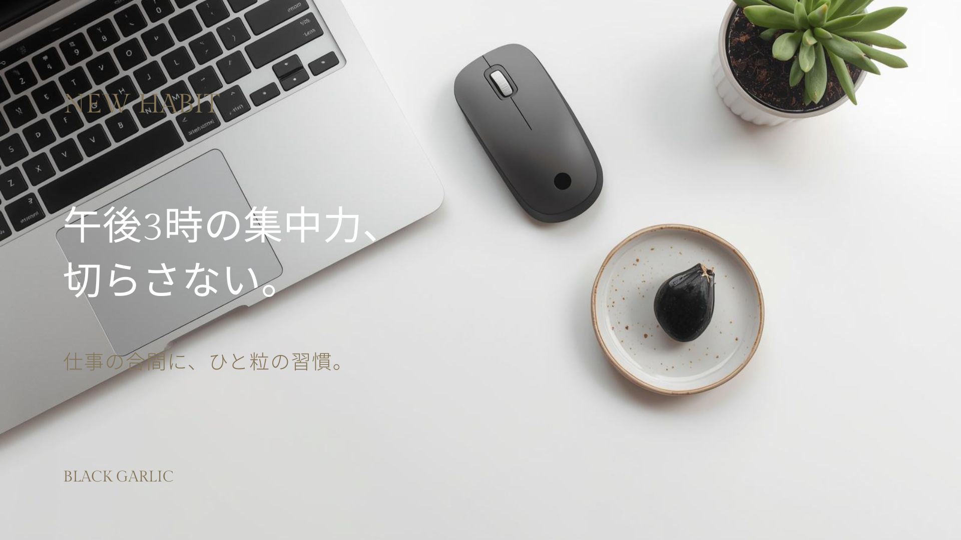 午後3時の集中力、切らさない。仕事の合間に、一粒の習慣。