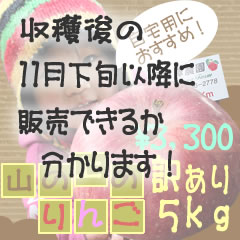 yzMB܂풬YȐ̂񂲁󂠂5kg3,300~