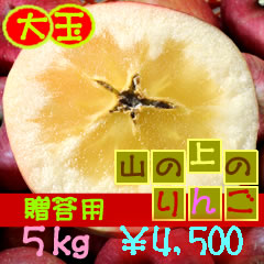yzMB܂풬YȐ̂񂲁puʁv5kg4,500~