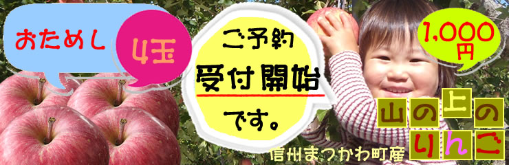 yzMB܂풬YȐ̂񂲁󂠂5kg3,300~