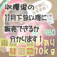 yzMB܂풬YȐ̂񂲁󂠂10kg5,380~