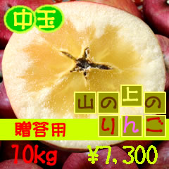 yzMB܂풬YȐ̂񂲁puʁv10kg7,300~