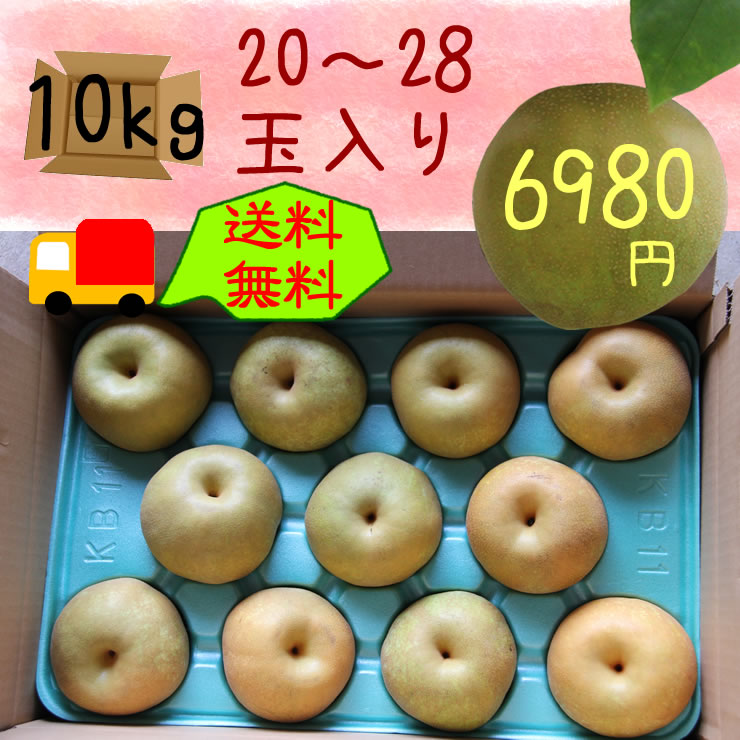 �R�̏�̗�10kg