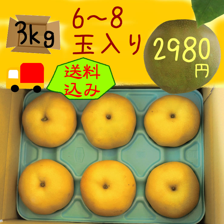 �R�̏�̗��������p3kg