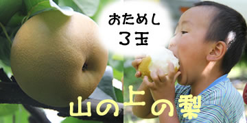 ypɁI݁zMB܂풬YȐ̗߂Rʁ@PCOOO~yÂĂc肠Ƃ킸Iz