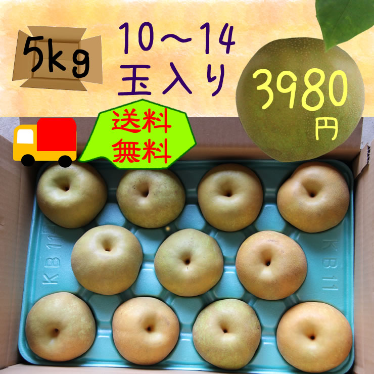 �R�̏�̗�5kg