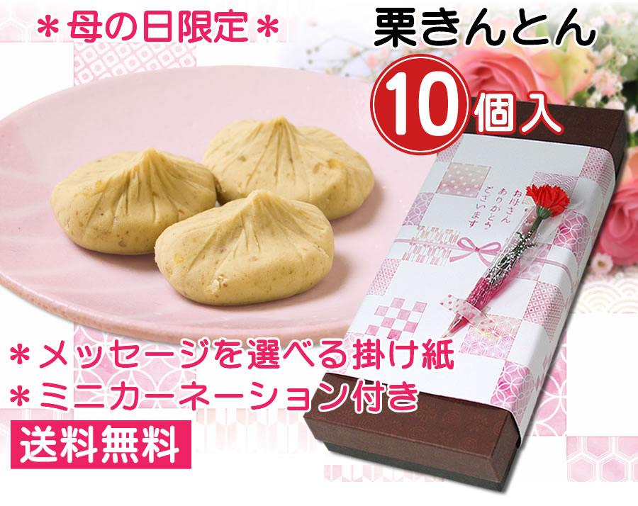 遅れてごめんね 母の日ミニカーネーション 栗きんとん10個入 岐阜 中津川 ちこり村 本店 遅れてごめんね 母の日ミニカーネーション 栗きんとん10個入 岐阜 中津川 ちこり村 本店
