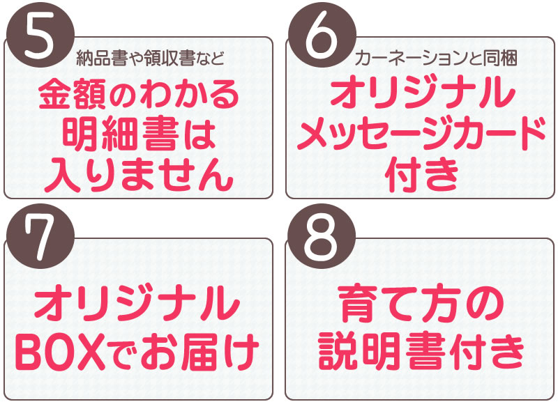 カーネーション ５号鉢 ｶｺﾞ入 送料無料 母の日ｶｰﾄﾞ付