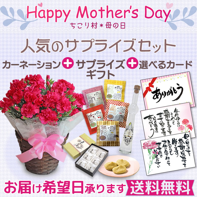 母の日ギフト カーネーション 5号鉢花 選べるサプライズセット 送料無料 岐阜 中津川 ちこり村 本店