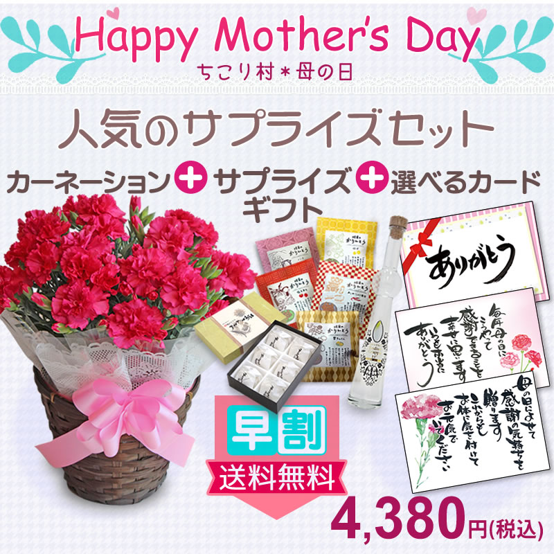 母の日ギフト カーネーション 5号鉢花＆選べるサプライズセット 送料無料