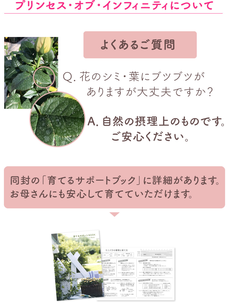 vZXEIuECtBjeB̂悭鎿