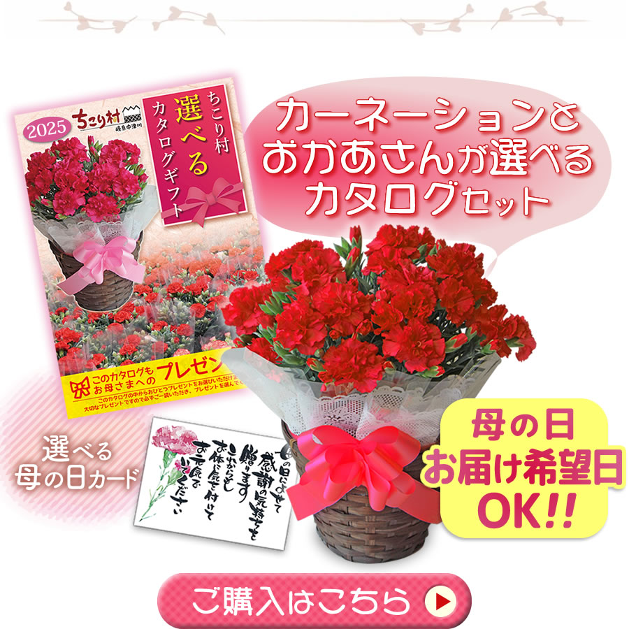 ご購入はこちら
