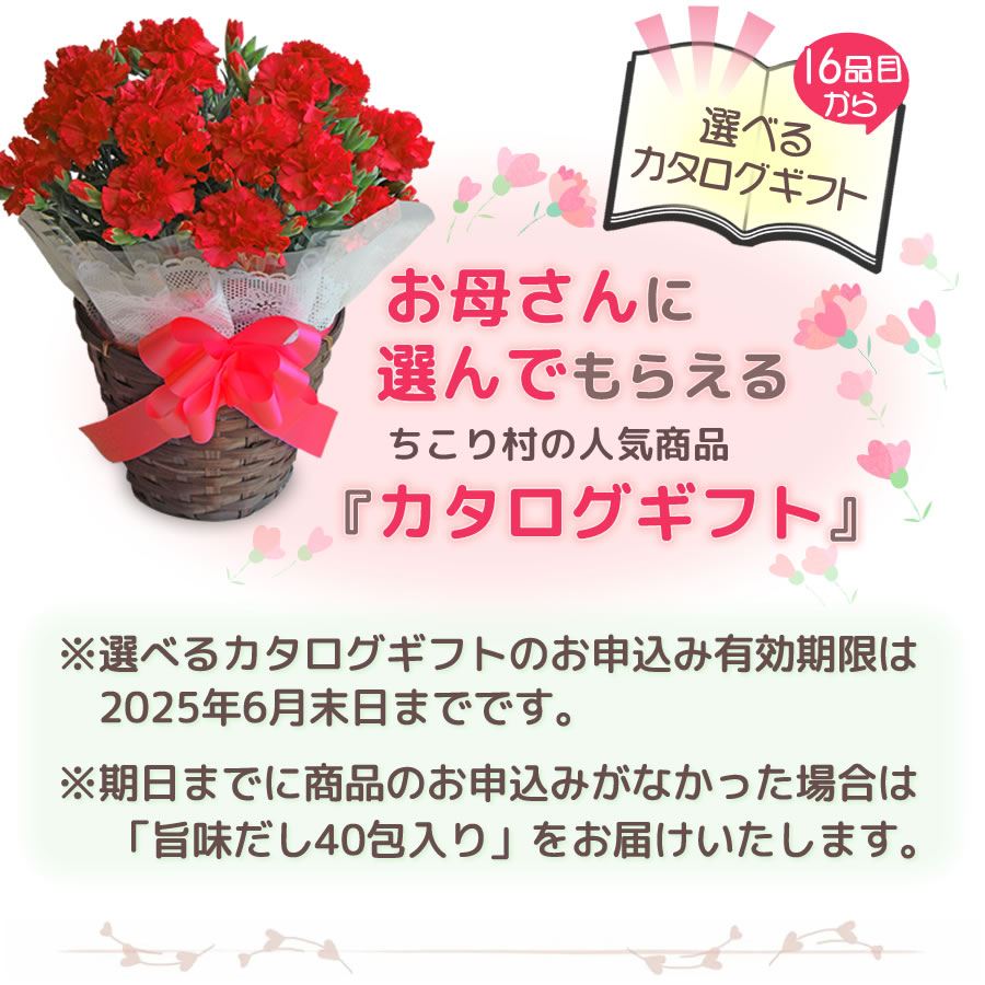 お母さんに選んでもらえるカタログギフト