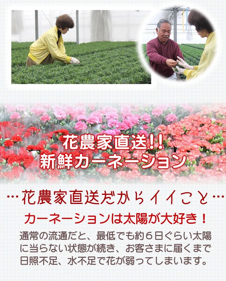 ますだ農園 こだわり 岐阜 中津川 ちこり村 本店