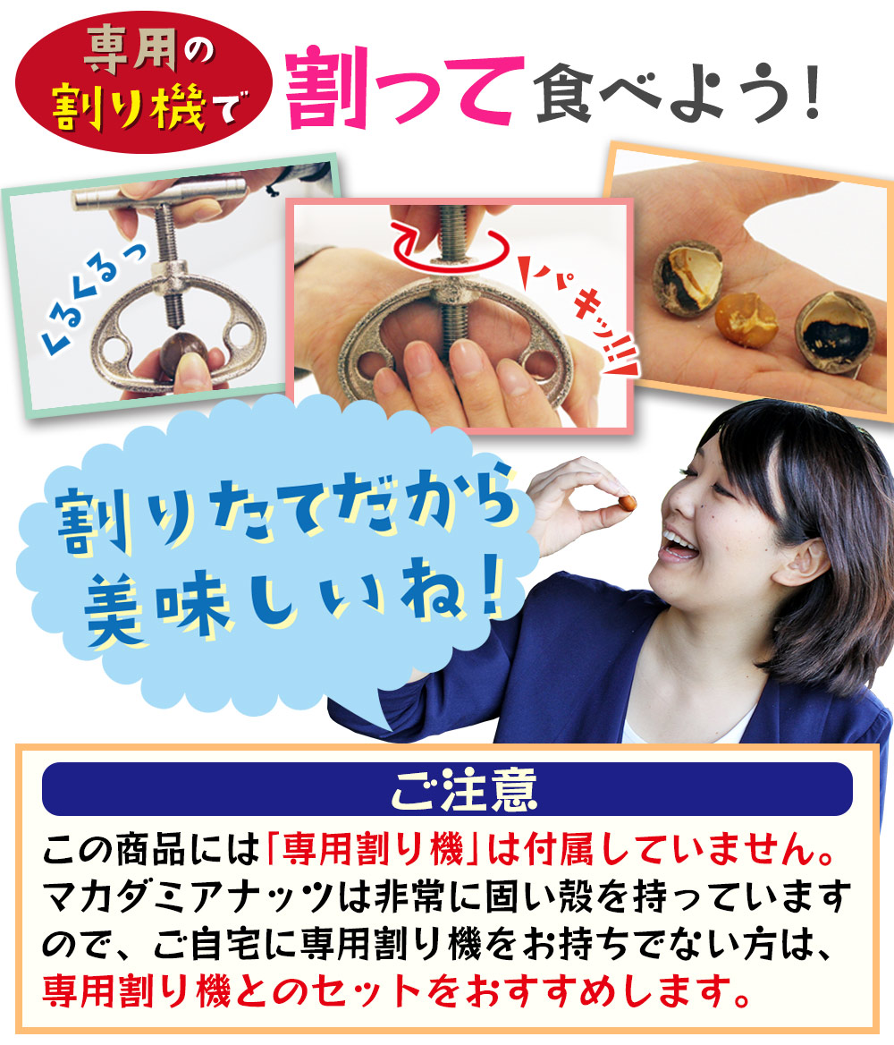 殻付きマカダミアナッツ ( ロースト ) 600g×1袋 単品 メール便送料無料