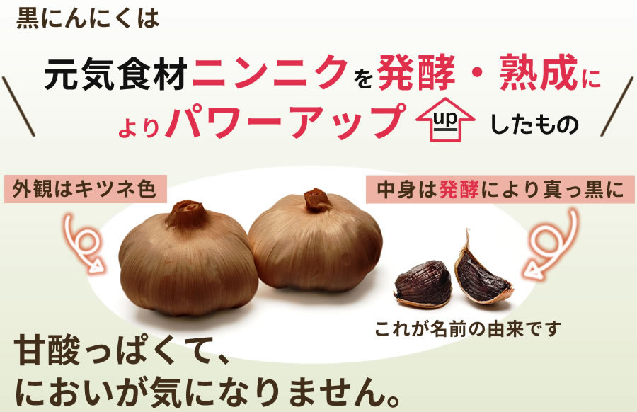 有機 黒にんにく 通販 お試し 500円 送料無料 ちこり村