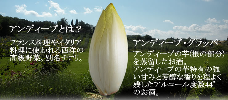 日本で畑で芋から手づくりのお酒『アンディーヴ・グラッパ44°』芳醇な香りと強いテイスト