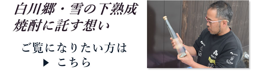 싽ẺnĒɑz