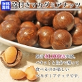 kt}J_~Aibc ( [Xg ) 600g~1 Pi [֑kiibcNbJ[jʔ