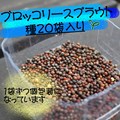<br>y݁[ւł͂z<br>ځIIIlC̃XvEg<br>z̓󂯂āAA炿܂B<br>ubR[̐ViXvEgj̎<br>20<br><br>Ε CyVNؐ̃T_RXz