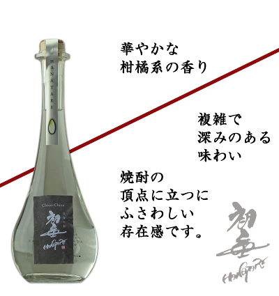 yz蕨ELOɂĒ44x@500ml@1{ʃ{gEϔ肨߂łĒyEΕMtgz