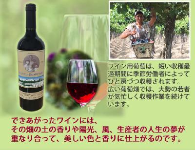 ȂƂɓ{lŕfIĖMvE{lڏZ_ƁEq̖60N̎oĒaI MISSION of TSUNEO YONEi~bV Iu clI ljA[`YEԃC 750ml