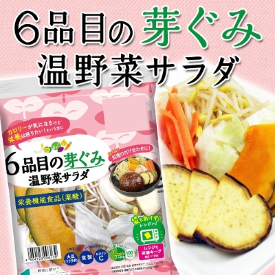 栄養機能食品 温野菜サラダ 6品目の芽ぐみ 0g １袋 岐阜 中津川 ちこり村 本店