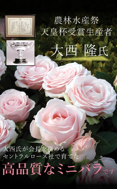 yz̓Mtg@vZX Iu CtBjeB6XC[cZbgyz