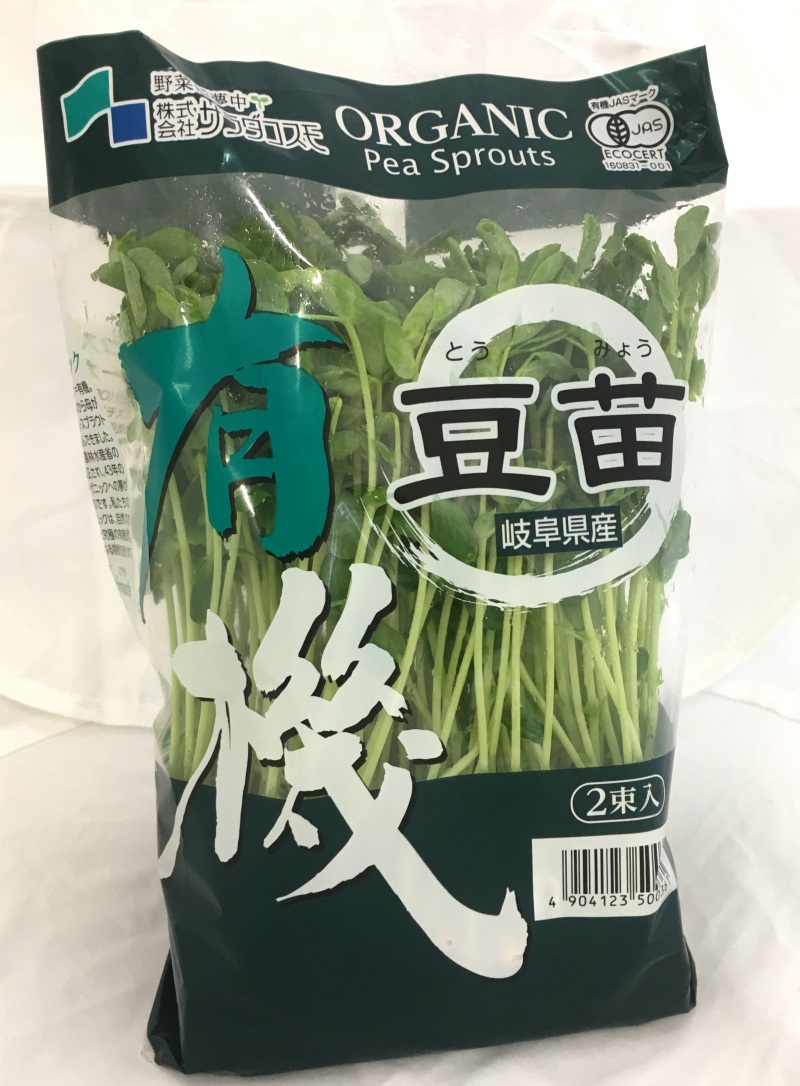 豆苗 有機 オーガニック 6パック入（1箱） 岐阜・中津川 ちこ